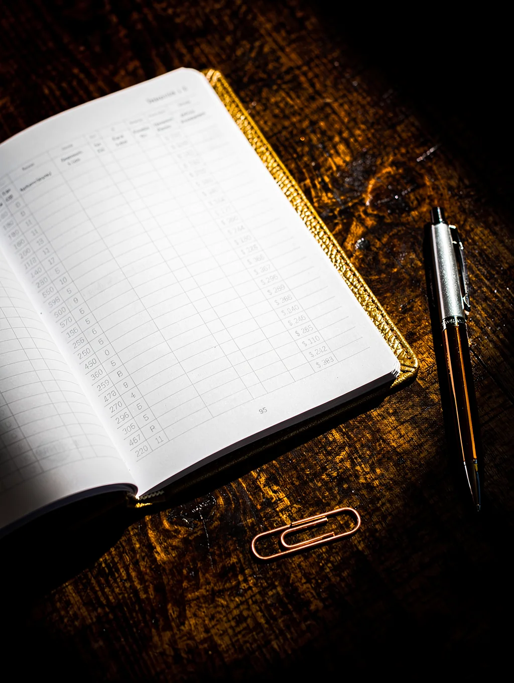 Professional hands reviewing a detailed financial ledger
